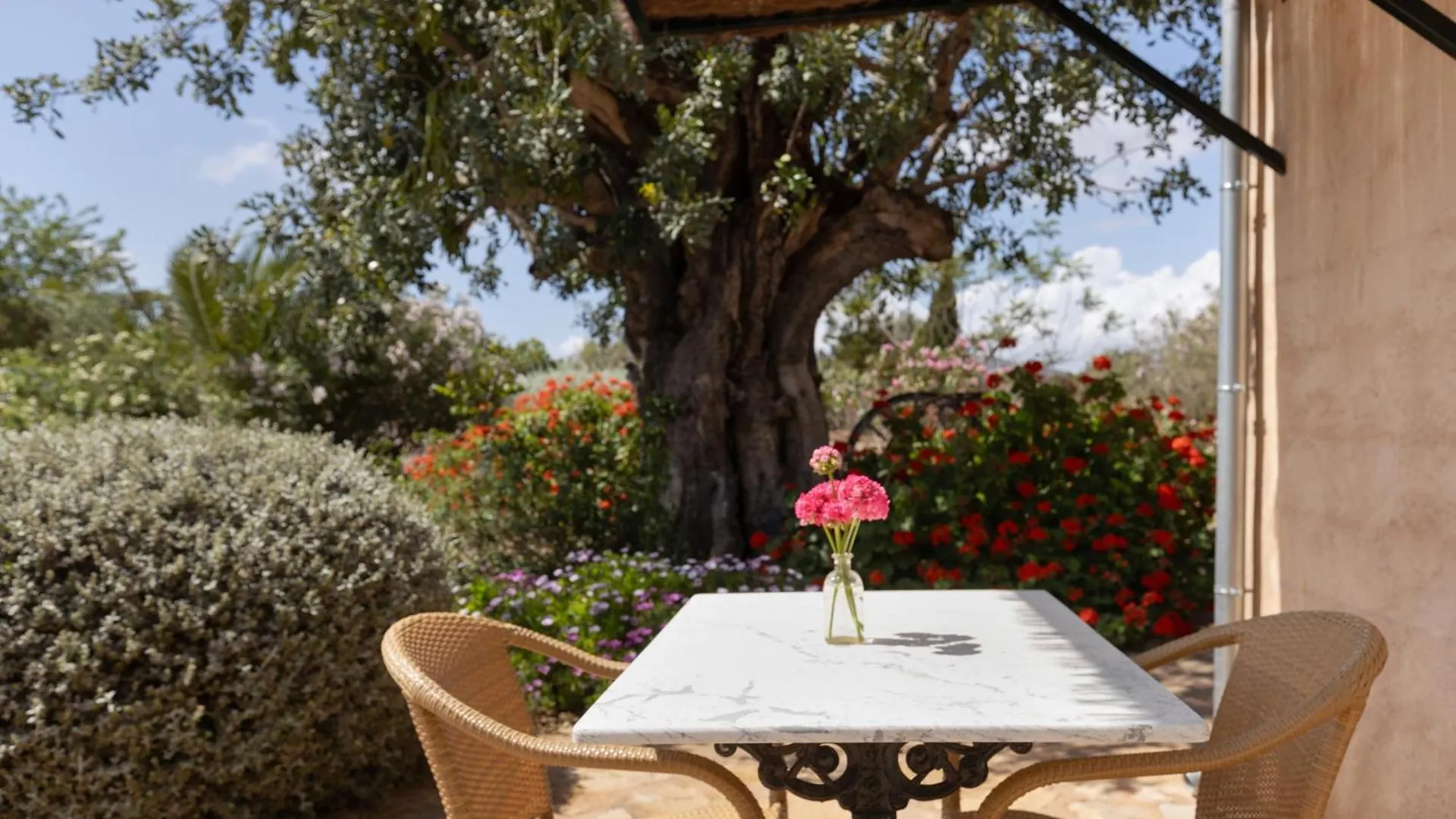 Finca Son Marimon (Adults Only) 산타니 팜스테이